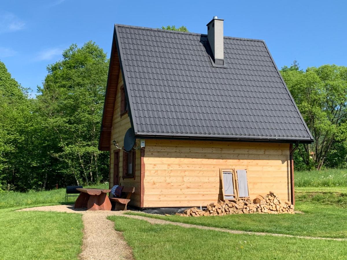 Dwernik Bukowina Bieszczady Villa Bagian luar foto