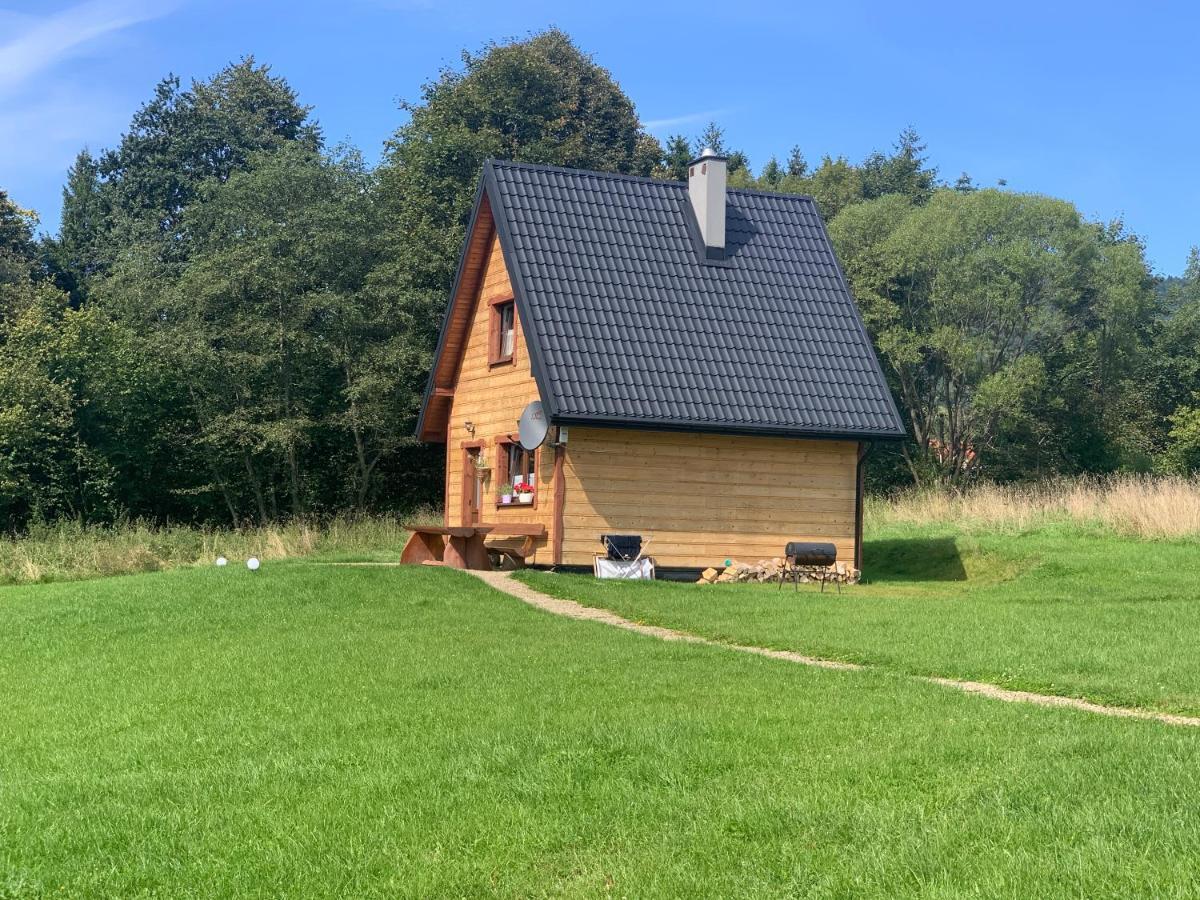 Dwernik Bukowina Bieszczady Villa Bagian luar foto