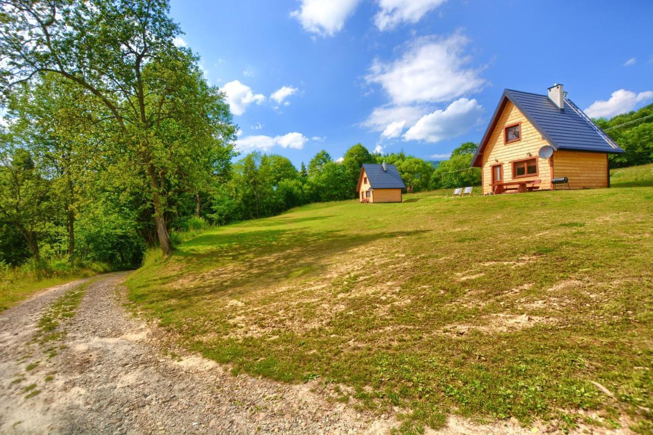Dwernik Bukowina Bieszczady Villa Bagian luar foto