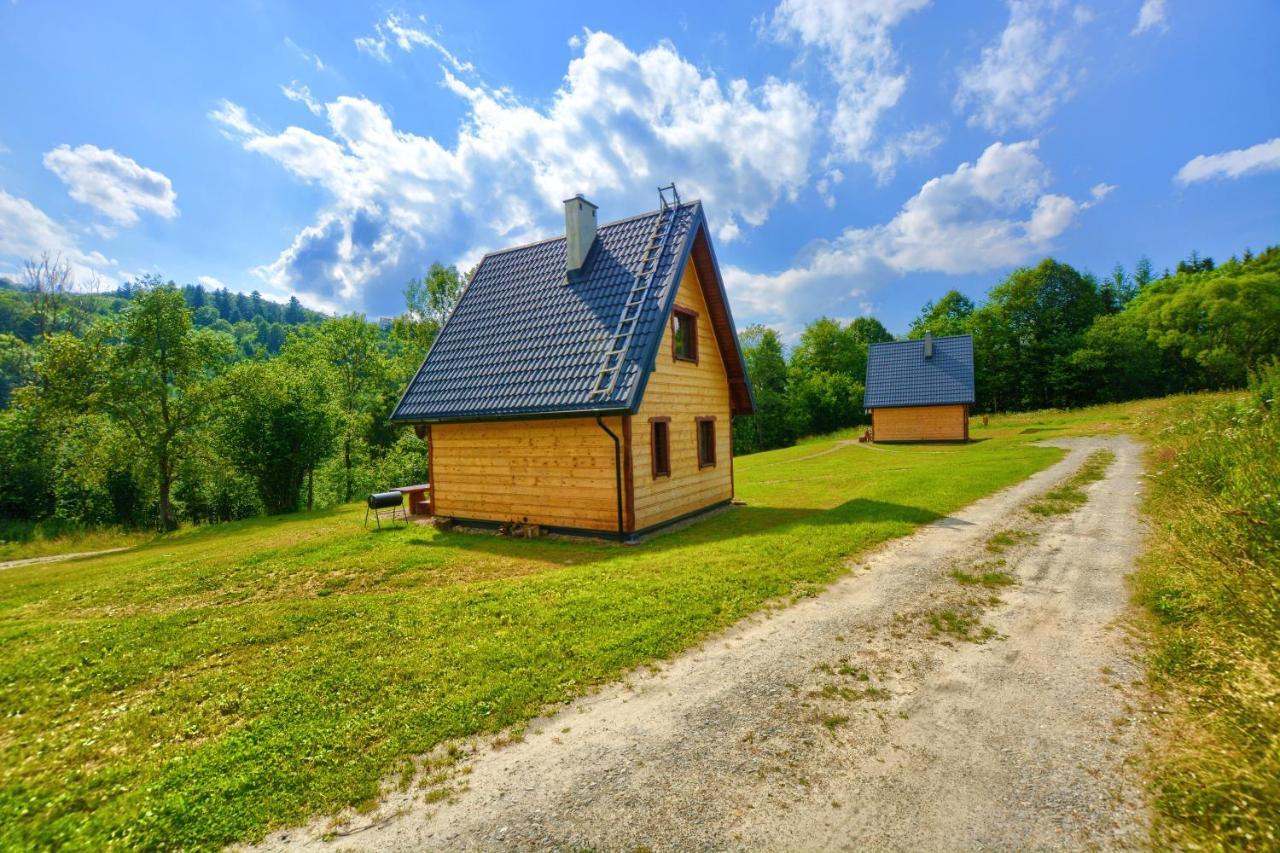 Dwernik Bukowina Bieszczady Villa Bagian luar foto